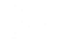 Paintbycanvas